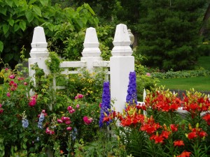 Lisa Splash1 300x225